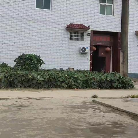 暑期练习作业五