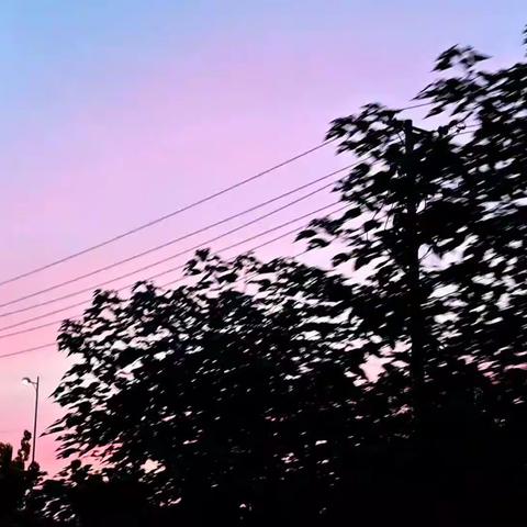 暑期练习作业六