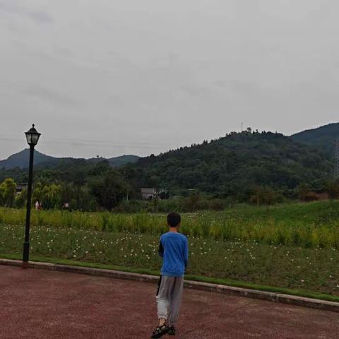 探秘“百科全书”