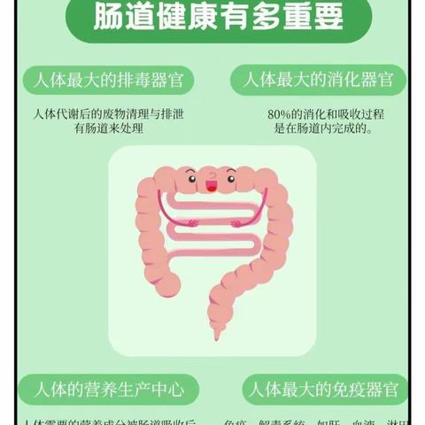 肠道健康的重要性