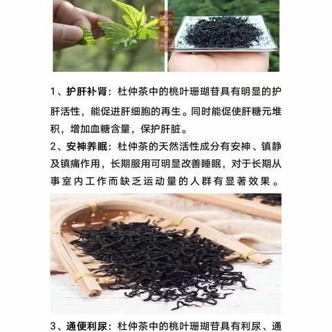 杜仲茶的功效