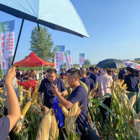 热烈祝贺2023-2024年度中地868安徽省核心零售商营销峰会成功举办！