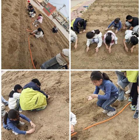 劳动润童心，菜地育成长 ——张夺小学五一劳动周“校园小菜园”实践活动