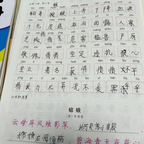 紫色百合的简篇
