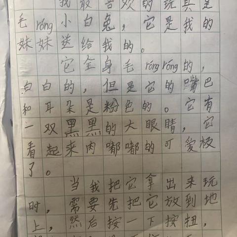 我最喜欢的玩具