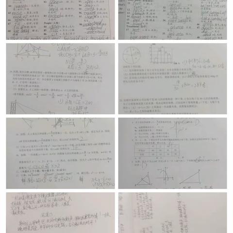 定风波组学习情况