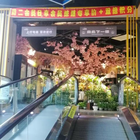 关山光谷购物广场3月26会员陈列美篇