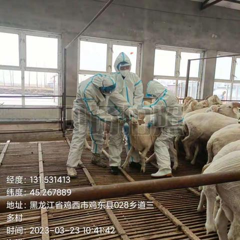 关于做好人畜共患病防控工作的通知