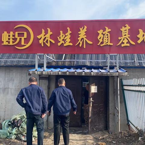 发展林蛙人工养殖   丰富百姓“菜篮子”