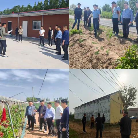 实地观摩拓思路 交流互学促提升|垛石街道“第一书记服务联盟”开展学习交流观摩活动