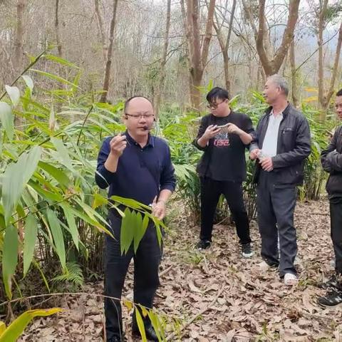 农技培训促发展，实用技术助增收