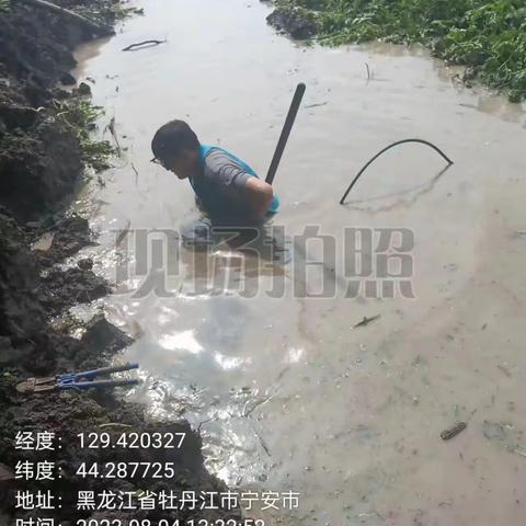 不畏艰险 逆水而行 中国电信牡丹江分公司奋战防汛一线