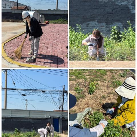 同心植绿，共筑“企”彩花园——双鞍集团化工公司员工除草种花行动
