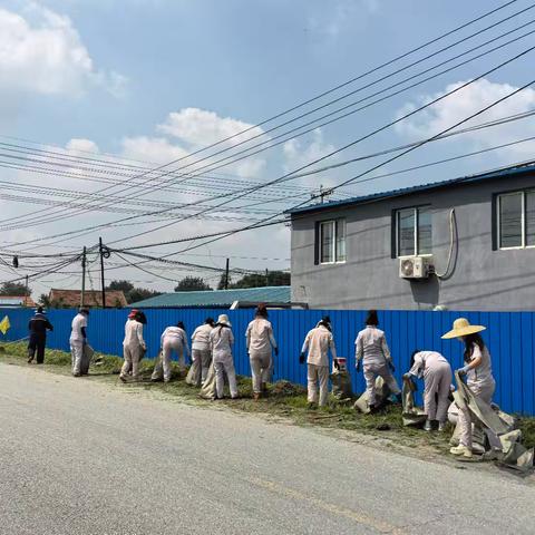 除草护安全，从“除隐患”开始
