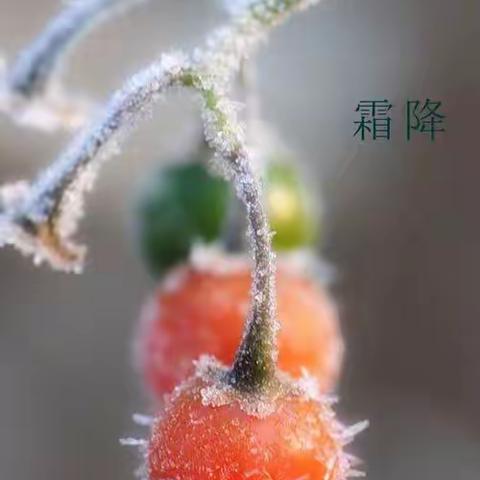 霜降