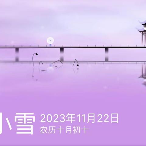 一片飞来一片寒——小雪