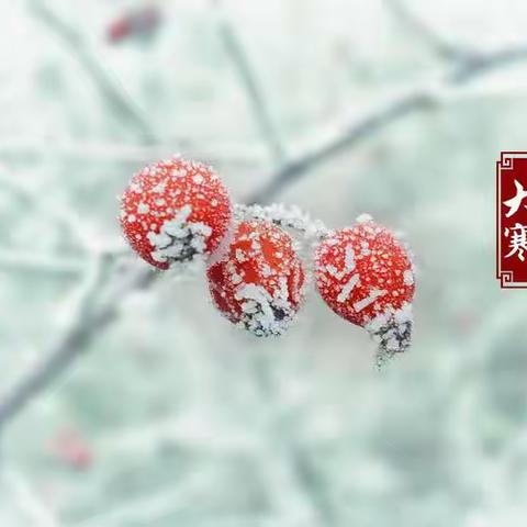 旧雪未及消，新雪又拥户——大寒