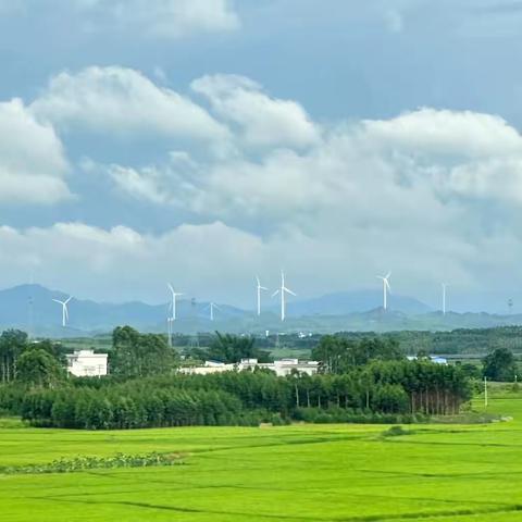 心有繁星，携爱而行——莒县特殊教育学校夏庄、刘官庄组送教上门纪实