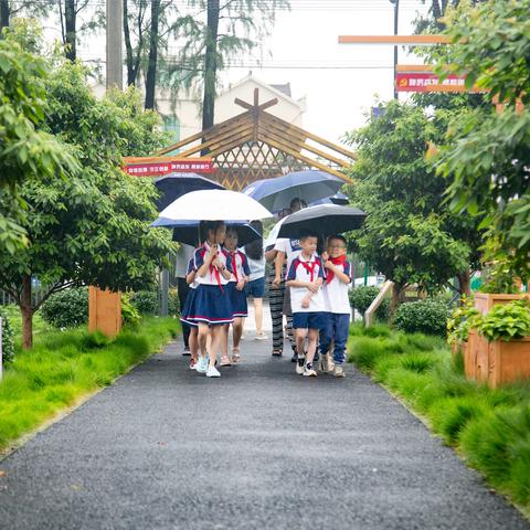 沿着习爷爷的足迹，探访“李伯伯家庭农场”——— 临平一小210冲锋假日小队