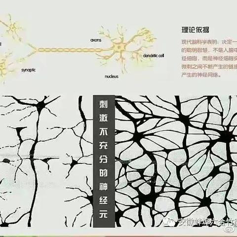 免费竹简点读法暑期训练营