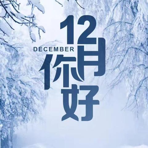 融科天城三期物业服务中心 2024年12月服务报告