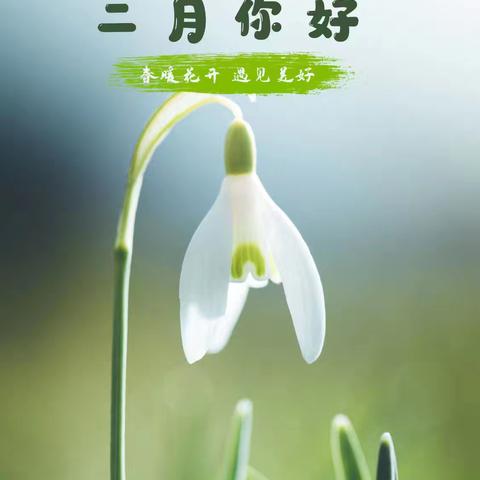 融科天城三期物业服务中心 2025年2月服务报告