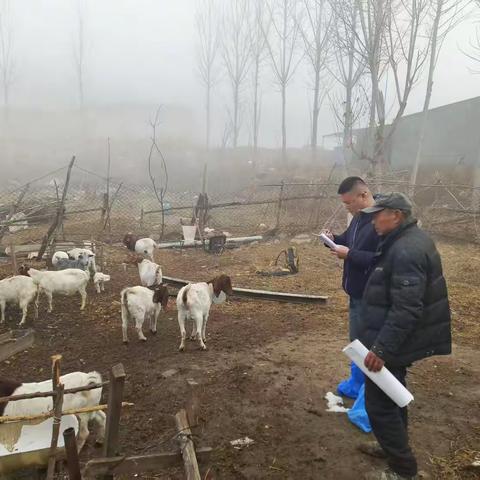 槐荫区动物疫病预防控制中心工作人员深入养殖户开展技术指导
