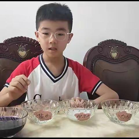 自制紫甘蓝汁是否能成为鉴别酸碱性物质
