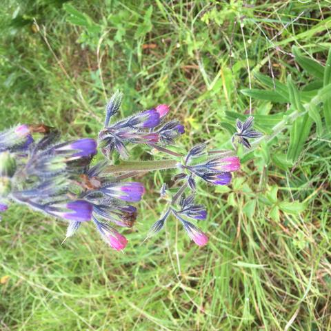 2023.07.31云南之旅（副本）