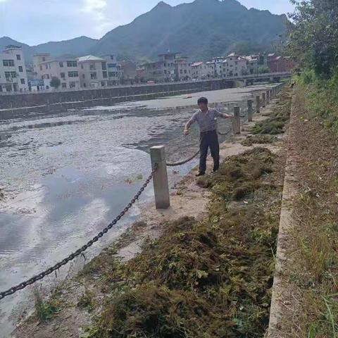 杜shan的简篇