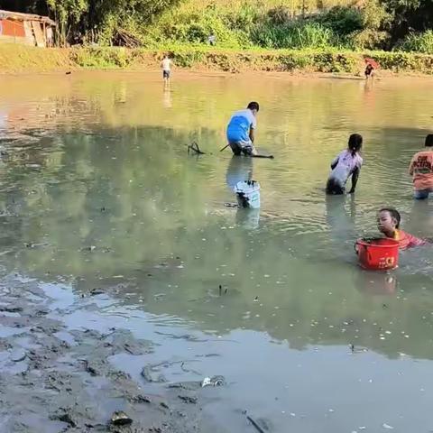 鱼你同欢----阳哥农场抓鱼活动