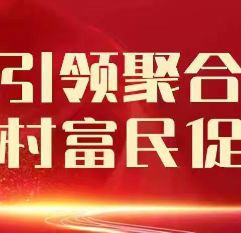 曹溪镇扎实做好“走村不漏户 户户见干部”工作
