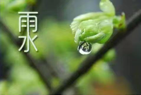 春雨滋润年景好，暖阳照拂岁华新——齐桥镇菜园小学实践活动二十四节气之雨水