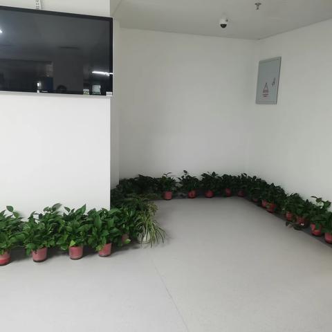 10S周末篇