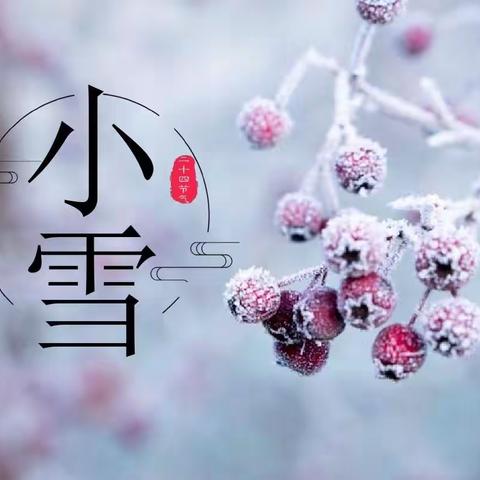 知时节，迎小雪———西岗子中心幼儿园“小雪”节气主题活动