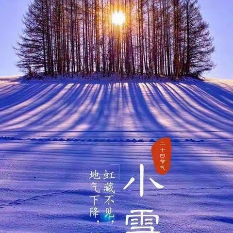 “小雪到，冬始俏”泊镇学区宋屯子小学二十四节气之小雪综合实践活动