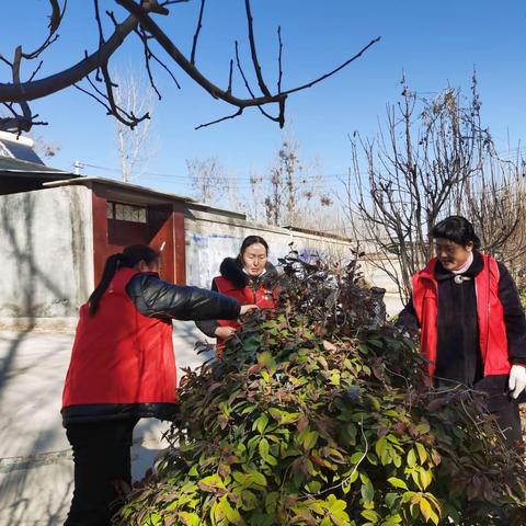 东阿镇仁和村开展“春季修剪绿化树木”活动