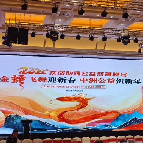 热烈祝贺2025年大亚湾区“凝聚慈善力量，助力乡村振兴”暨世界助残月公益慈善晚会圆满成功！