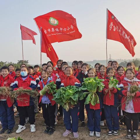 【中小-德育-少先队】学科实践活动“劳动励心智～实践促成长 ”