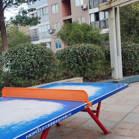 小学语文教育2202班张碧婷喜迎新春，开心过年