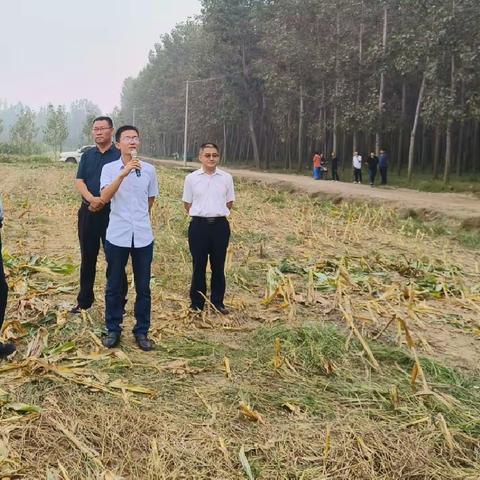 粮改饲项目推进培训会议