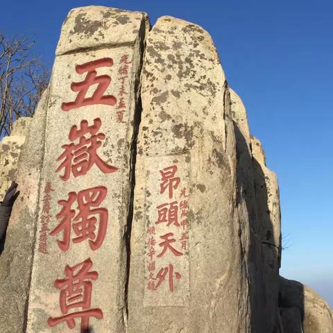登泰山龙文化研学营正在热线！ 青春没有售价！ 泰山就在脚下！ 嗷嗷叫往上冲的大山！ 稳于泰山，重于泰山！ 11天的研学历练深味挖掘！