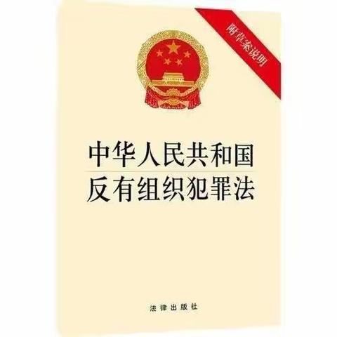 学法守法，共建平安-龙津中心幼儿园《反有组织犯罪法》宣传活动