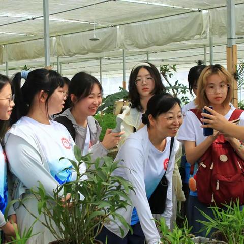 集大学子三下乡：“乡”约浦城 探索实业振兴