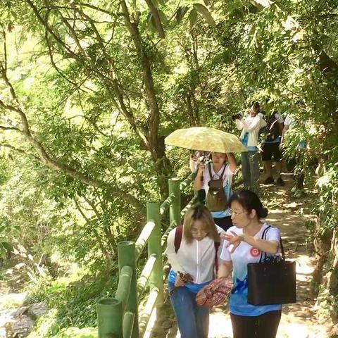 集大学子三下乡：专心造就品质，科技助力振兴