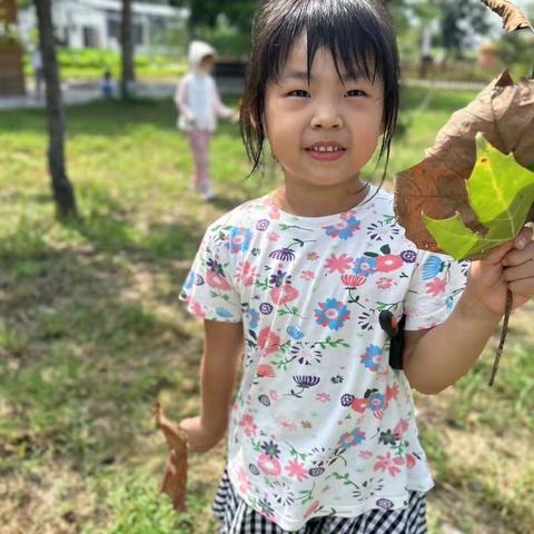 风吹一片叶 万物知惊秋——乐源幼儿园“立秋”节气活动