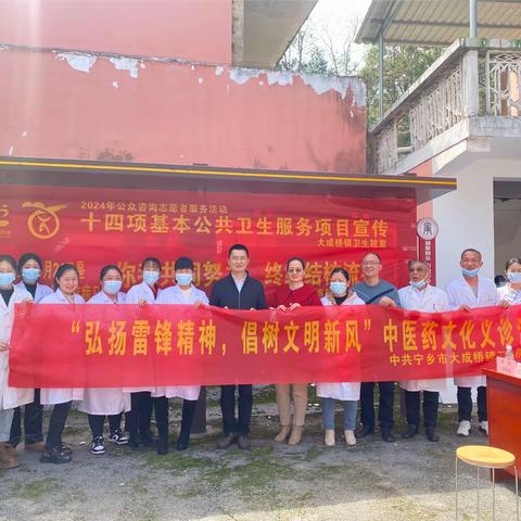 大成桥镇卫生院学雷锋义诊党建活动