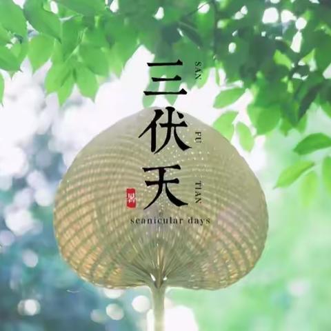 又到一年三伏天，冬病夏治三伏贴，大成桥镇卫生院可以预约啦！