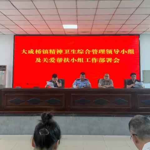 大成桥镇开展精神卫生综合管理工作领导小组及村级关爱帮扶小组培训会议