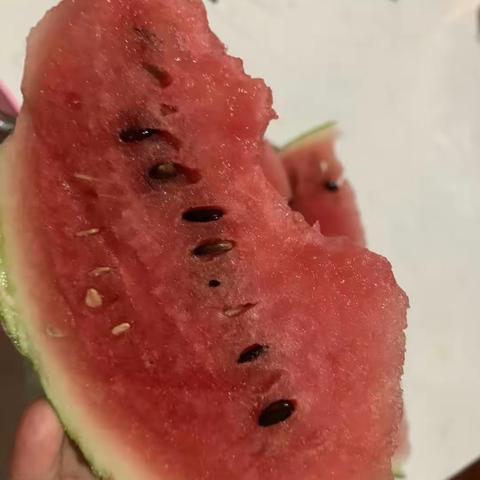 盛夏的甜蜜